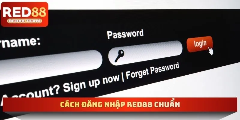 Cách đăng nhập RED88 chuẩn