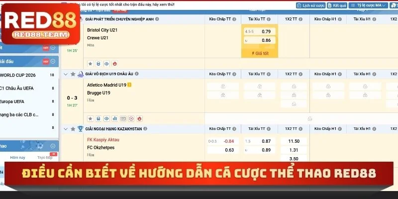 Điều cần biết về hướng dẫn cá cược thể thao RED88