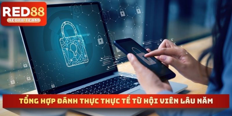 Quyền lợi của khách hàng RED88 khi tuân thủ quy định