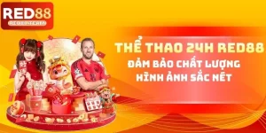 Thể Thao 24h RED88