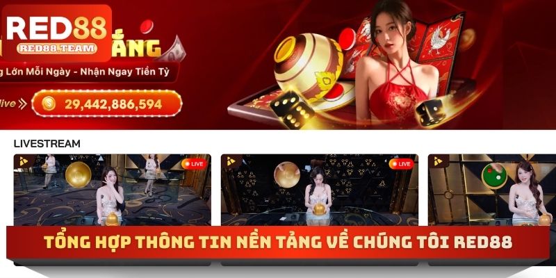 Tổng hợp thông tin nền tảng về chúng tôi RED88